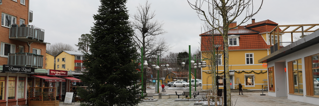 Vinterbild om än snöfattig av julgranen på Rönninge torg med nya bänkar och planteringar i förgrunden.